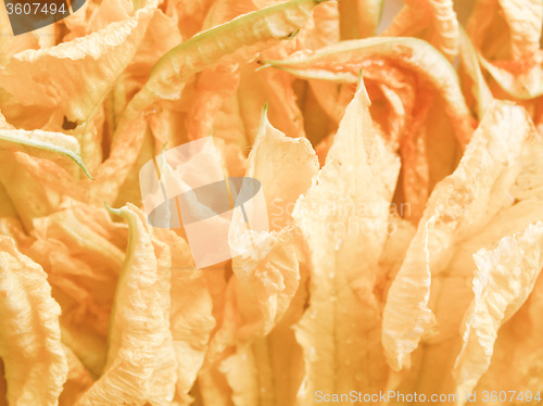 Image of Retro looking Courgette flowers