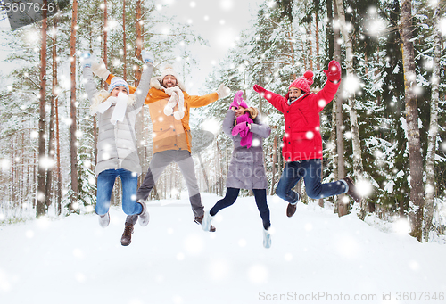 Image of group of smiling men and women in winter forest