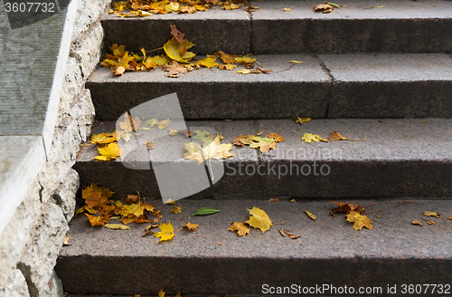 Image of close up of fallen maple leaves on stone stairs