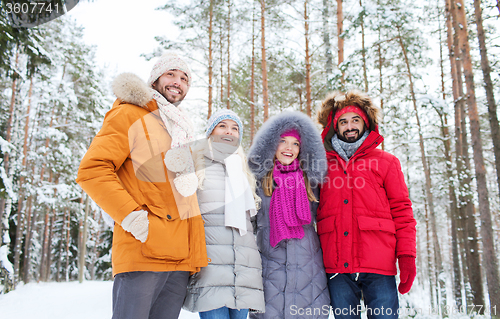 Image of group of smiling men and women in winter forest