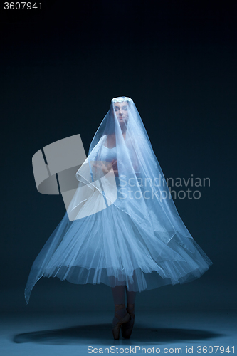 Image of Portrait of the ballerina on blue background