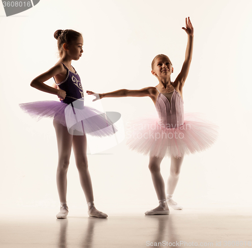 Image of The two little ballet girls in tutu 