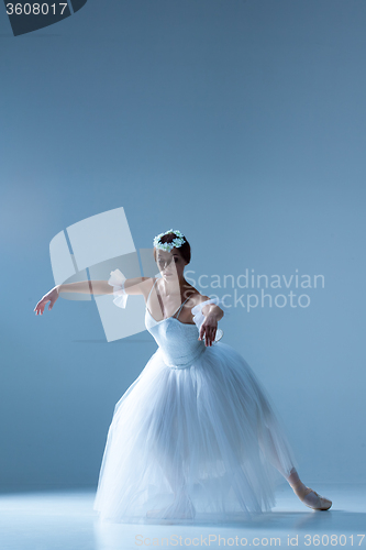 Image of Portrait of the ballerina on blue background