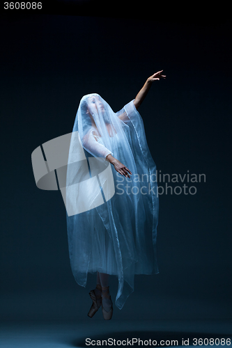 Image of Portrait of the ballerina on blue background