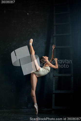 Image of The beautiful ballerina posing against  dark background