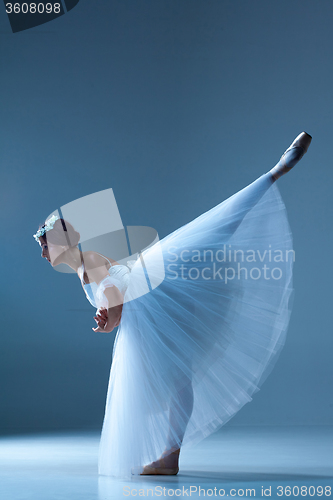 Image of Portrait of the ballerina on blue background