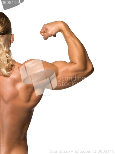 Image of Attractive male body builder on white background