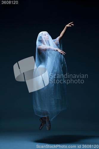 Image of Portrait of the ballerina on blue background