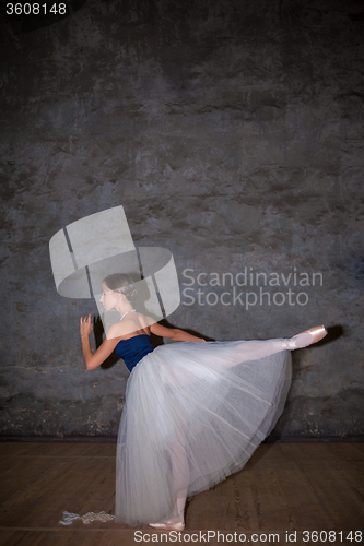 Image of The beautiful ballerina posing in long white skirt 