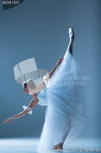 Image of Portrait of the ballerina on blue background