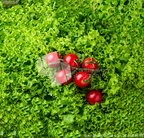 Image of lettuce salad and cherry tomatoes on a wood background