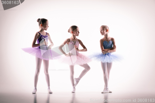 Image of Three little ballerinas in dance studio