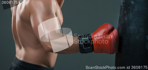 Image of Young Boxer boxing 