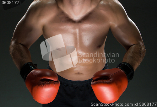 Image of Muscular young caucasian boxer wearing boxing gloves