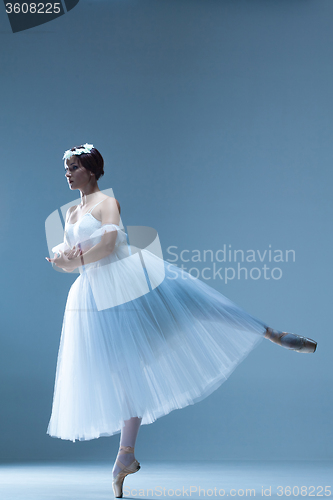 Image of Portrait of the ballerina on blue background