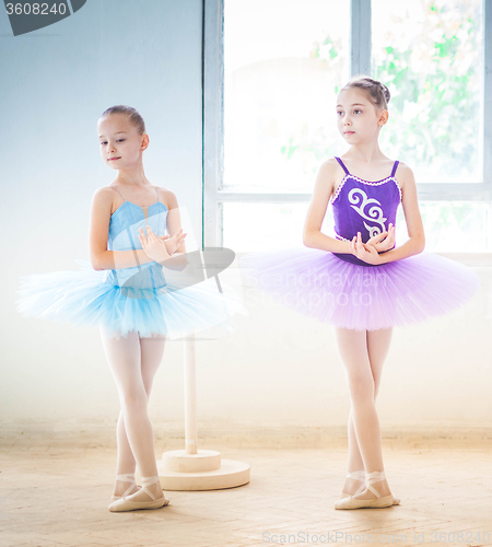 Image of The two little ballet girls in tutu 