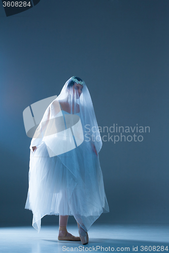 Image of Portrait of the ballerina on blue background