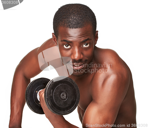 Image of Strong and muscular guy with dumbbell isolated on white background