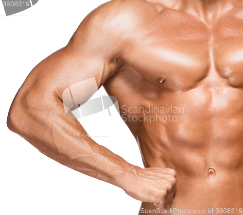 Image of Torso of male body builder on white background