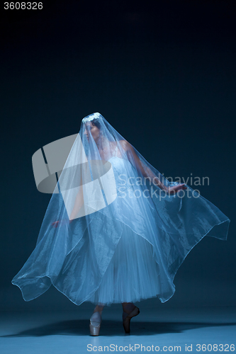 Image of Portrait of the ballerina on blue background