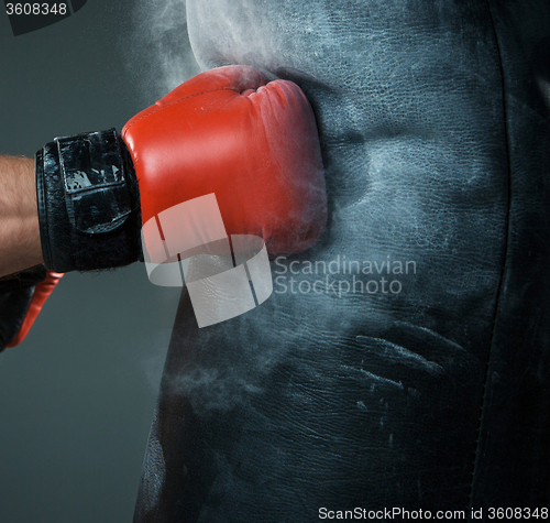 Image of Hand  of boxer and punching bag over black background