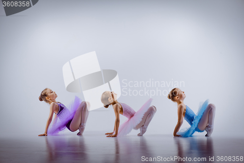 Image of Three little ballet girls sitting in tutus and posing together