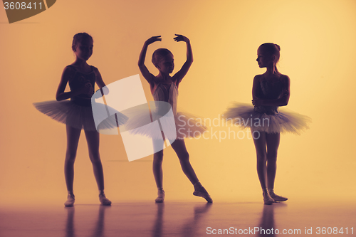 Image of Three little ballerinas in dance studio