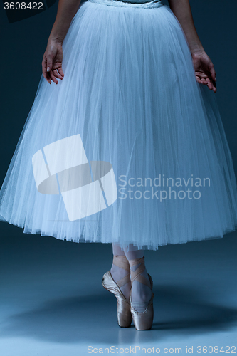 Image of Portrait of the ballerina on blue background