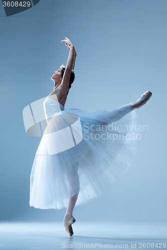 Image of Portrait of the ballerina on blue background