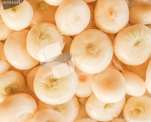 Image of Retro looking Onions