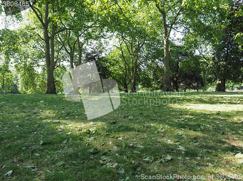 Image of St James Park in London