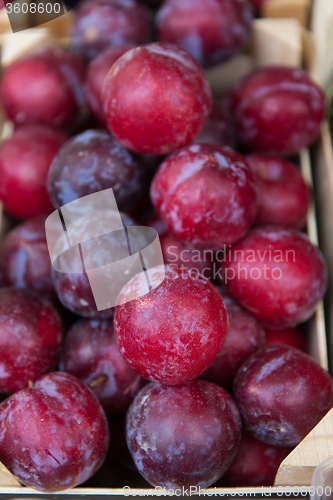 Image of close up of satsuma plums in box at street market