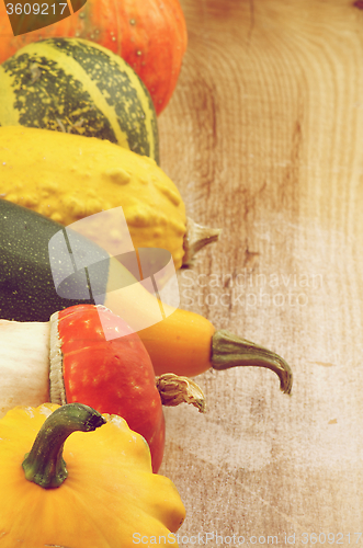 Image of Frame of Squash