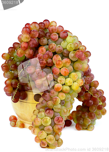 Image of Sultana Grape
