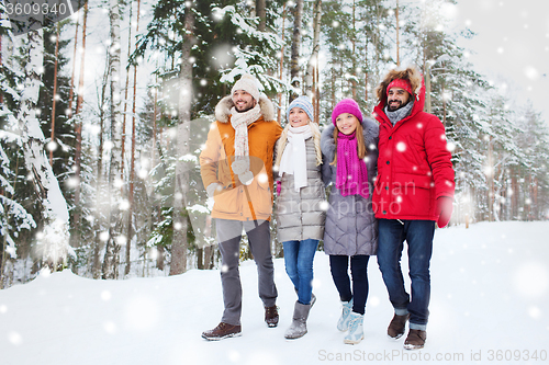 Image of group of smiling men and women in winter forest