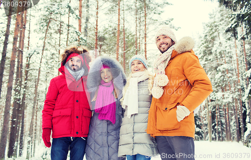 Image of group of smiling men and women in winter forest