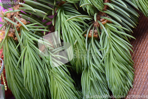 Image of Closeup of beautiful Christmas baubles, Decorated christmas tree, holiday background, green tree eve branch close up with christmas balls 