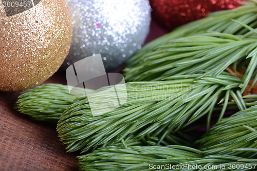 Image of Decorated christmas tree - holiday background, green tree eve branch close up with christmas balls 
