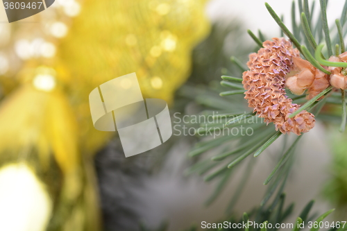 Image of Image of Christmas tree branch with golden material, festive border, New Year greeting card, magic night, glowing backdrop, xmas decoration, holiday ornament
