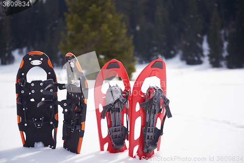 Image of winter snowshoes