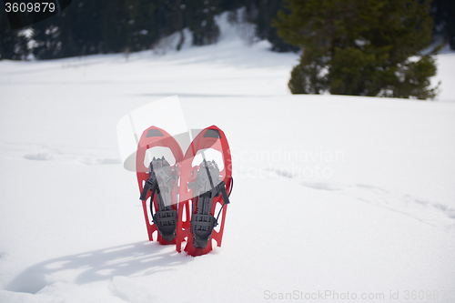 Image of winter snowshoes