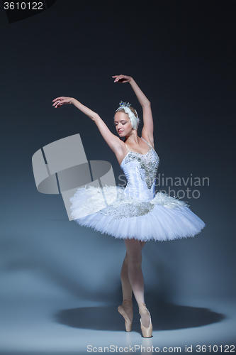 Image of Portrait of the ballerina in ballet tatu on blue background