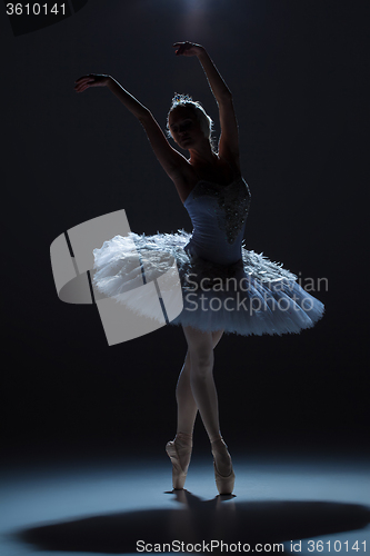 Image of Portrait of the ballerina in ballet tatu on dack background