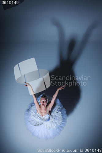 Image of Portrait of the ballerina in ballet tatu on blue background