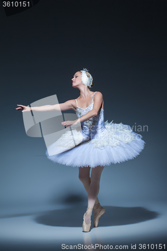 Image of Portrait of the ballerina in ballet tatu on blue background