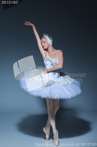 Image of Portrait of the ballerina in ballet tatu on blue background