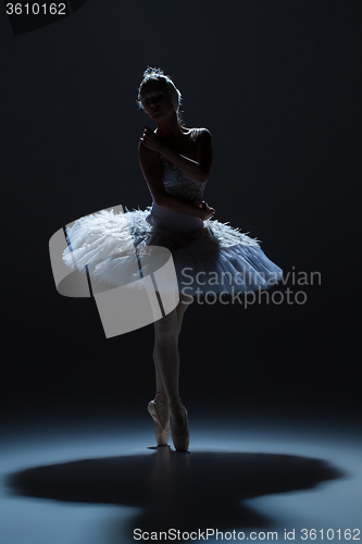 Image of Portrait of the ballerina in ballet tatu on dack background