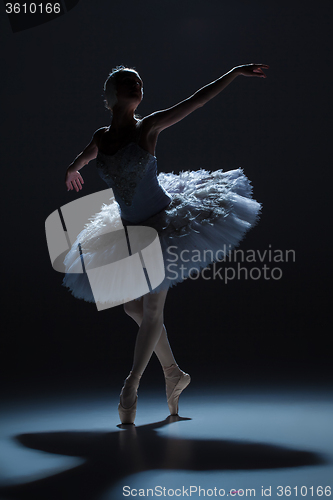 Image of Portrait of the ballerina in ballet tatu on dack background