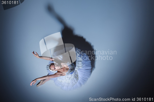 Image of Portrait of the ballerina in ballet tatu on blue background