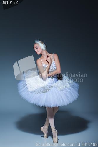 Image of Portrait of the ballerina in ballet tatu on blue background